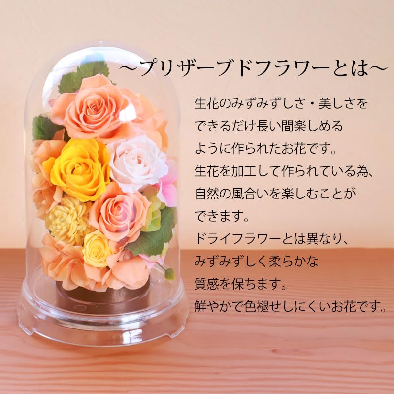 Amazon｜プリザーブドフラワー ドーム型 グランドーム 母の日 ギフト